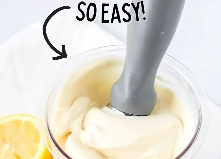 Homemade Ninja Creami lemon gelato in a bowl with lemon zest garnish.