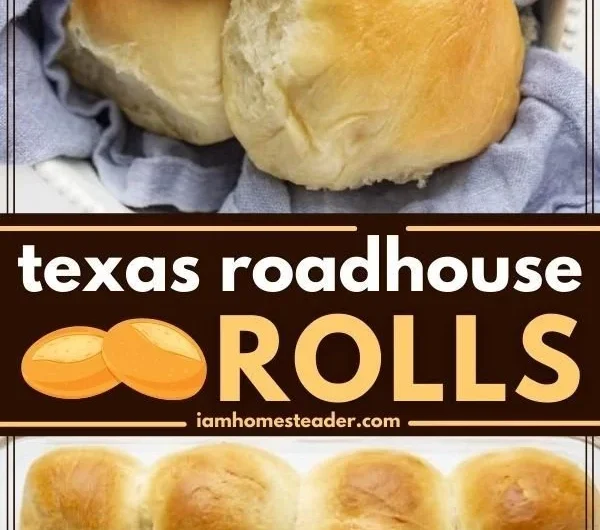 Delicious Texas Roadhouse Rolls served warm with cinnamon butter.