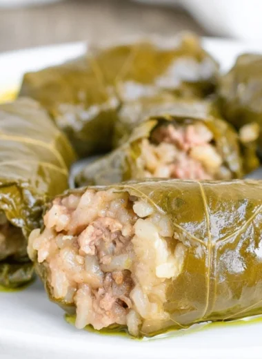 Plate of delicious stuffed grape leaves garnished with herbs
