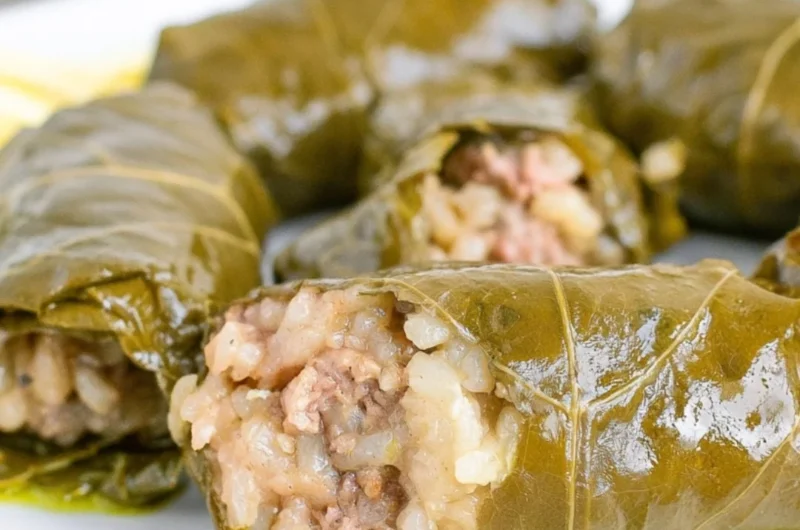 Plate of delicious stuffed grape leaves garnished with herbs
