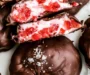 Chocolate Strawberry Frozen Yogurt Bites